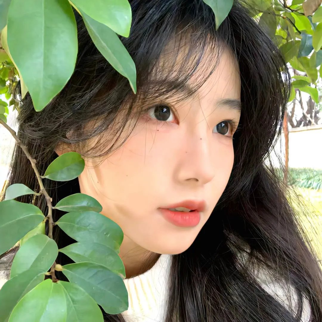 赫米娅与海伦娜